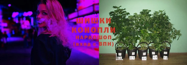 первитин Алексин