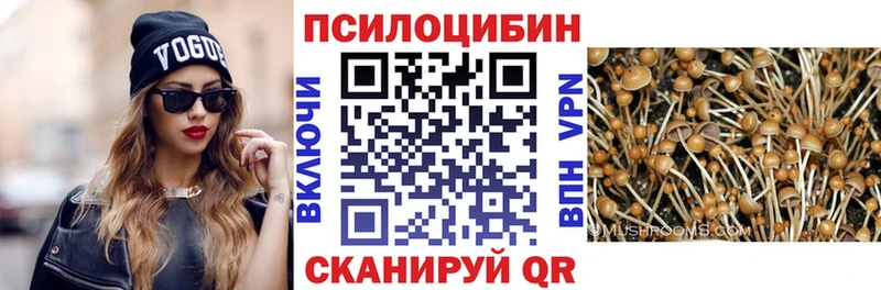 Псилоцибиновые грибы MAGIC MUSHROOMS  купить наркотик  гидра tor  Голицыно 