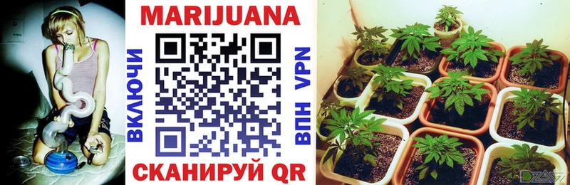купить наркотики сайты  Голицыно  Шишки марихуана Ganja 